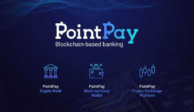 Банальная хайп-площадка: что известно о мошенниках PoinPay