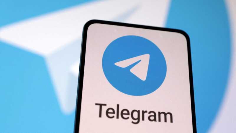 В Telegram добавили новые категории для подачи жалоб